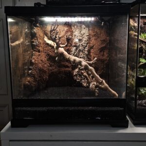 Exo Terra Bioactive Terrarium  45 x45 x 45cm - new build Experience the Frog Father difference today.