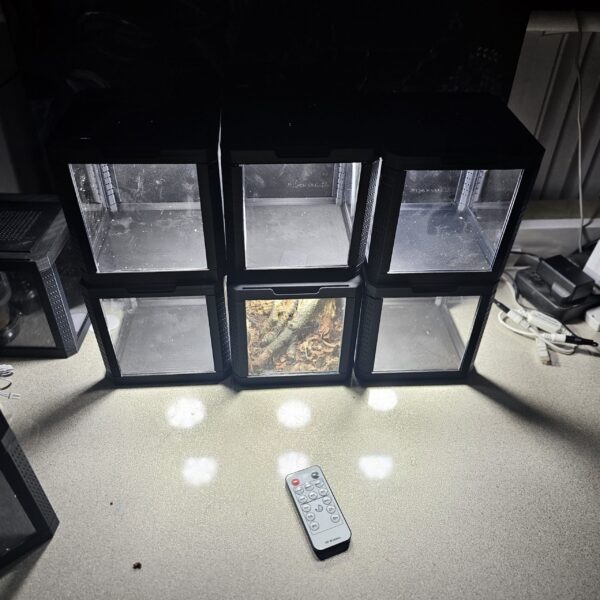 3D Printed display vivarium – Enclosure - Image 4