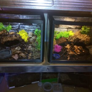 3D Display Vivarium – Vented Sliding Door Enclosure (25×30×25cm)