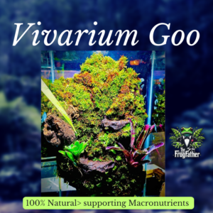 Bioactive Terrarium & Vivarium Background Clay – Natural Background Builder